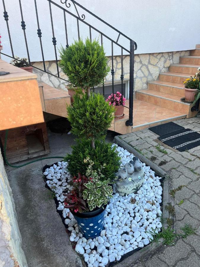 Rege Apartman 2 Alsoors Exterior photo
